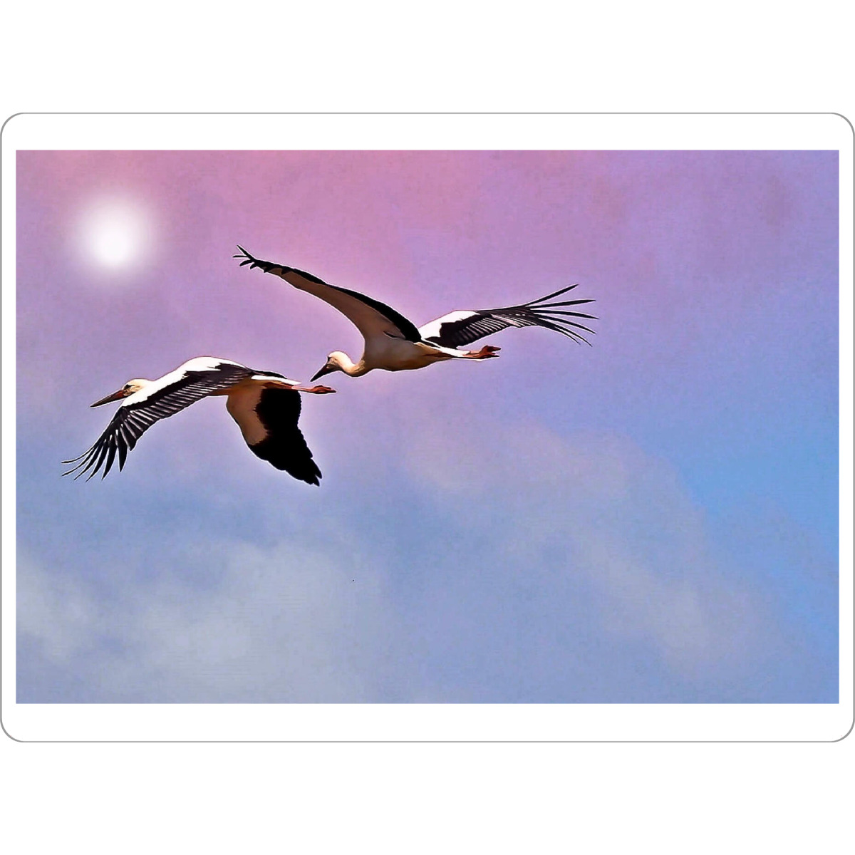 Tischset "Into the sun" artboxONE - Natur,Tiere - Störche,Natur,Himmel,Fliegen,Storch,Tiere,Vögel,Farben,Bunt,Sommer,Jahreszeiten,Birds,Fly,Colorful