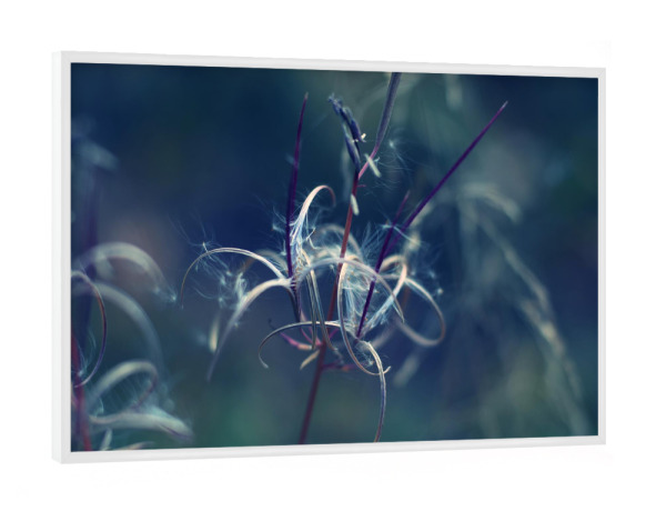 Poster mit weißem Rahmen "Fliehende Samen" artboxONE - Natur,Reise,Reise / Länder