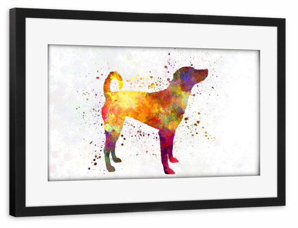 Poster mit Rahmen schwarz "Austrian Pinscher in watercolor" artboxONE - Tiere