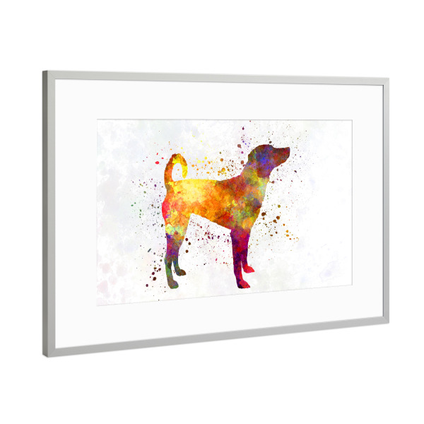 Poster mit Rahmen Silber "Austrian Pinscher in watercolor" artboxONE - Tiere