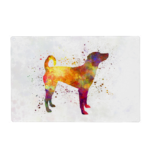 Metall Poster "Austrian Pinscher in watercolor" artboxONE - Tiere