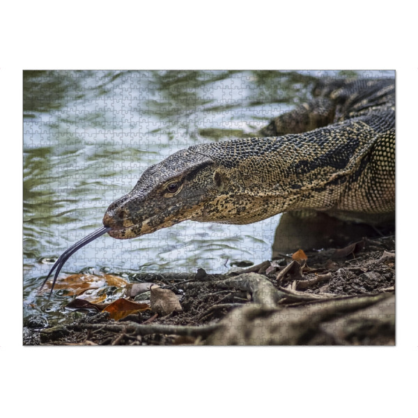 Puzzle Ravensburger "Monitor Lizard" artboxONE - Natur,Reise,Tiere,Reise / Asien
