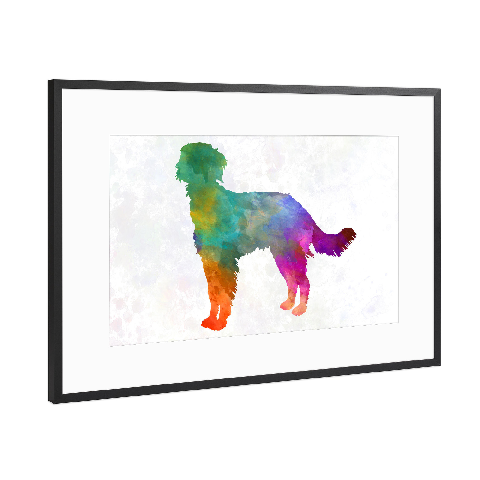 Poster mit Rahmen Schwarz (Metallic) "Blue Picardy Spaniel in watercolor" artboxONE - Tiere