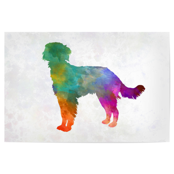 Poster 30x20 cm "Blue Picardy Spaniel in watercolor" artboxONE - Tiere