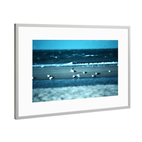 Poster mit Rahmen Silber "Möwen am Strand" artboxONE - Natur,Reise,Tiere,Reise / Strand und Meer,Reise / Länder