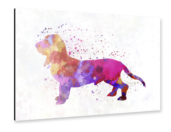 Alu-Dibond "Blue Gascony Basset in watercolor" 30x20 cm artboxONE