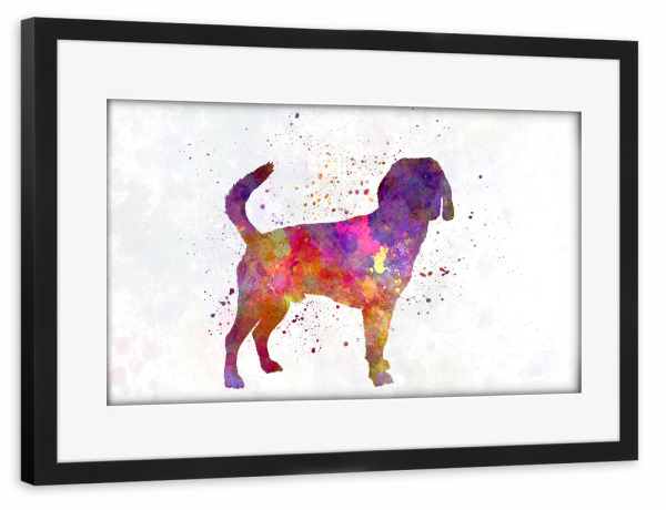 Poster mit Rahmen schwarz "Beagle harrier dog in watercolor" artboxONE - Tiere