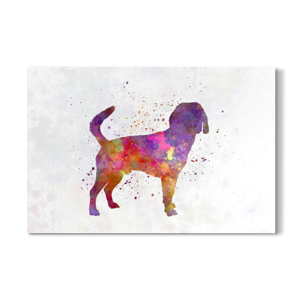 Galerie-Print "Beagle harrier dog in watercolor" 30x20 cm artboxONE