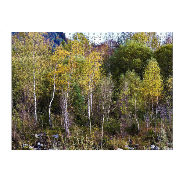 artboxONE Puzzle "Bäume im Herbst" artboxONE - Natur