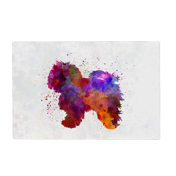 Metall Poster "Bolognese dog in watercolor" artboxONE - Tiere