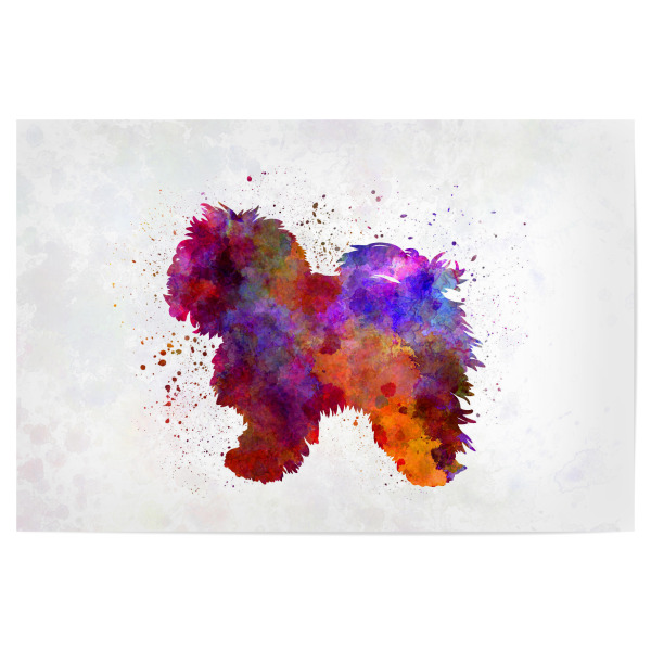 Poster "Bolognese dog in watercolor" artboxONE - Tiere