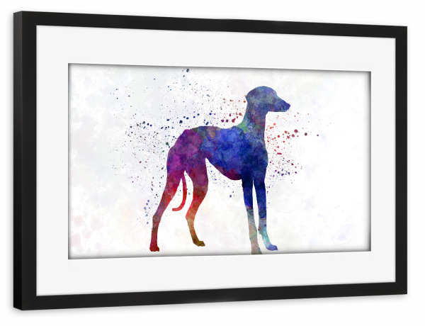 Poster mit Rahmen schwarz "Arabian Greyhound in watercolor" artboxONE - Tiere,Abstrakt