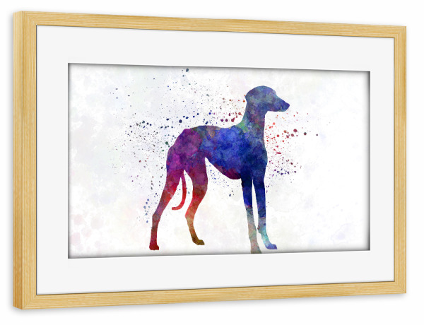Poster mit Rahmen kiefer "Arabian Greyhound in watercolor" artboxONE - Tiere,Abstrakt