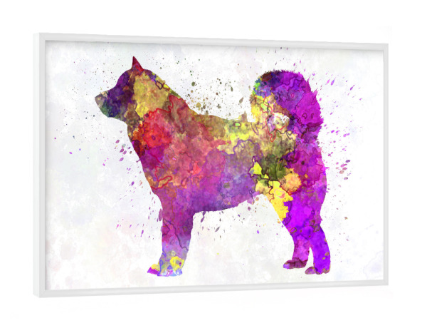 Poster mit weißem Rahmen "Alaskan Malamute dog in watercolor" artboxONE - Tiere