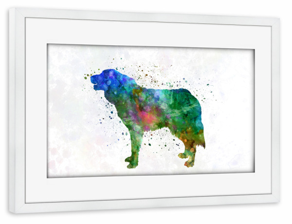 Poster mit Rahmen weiß "Bosnian and Herzegovinia Dog" artboxONE - Tiere,Abstrakt
