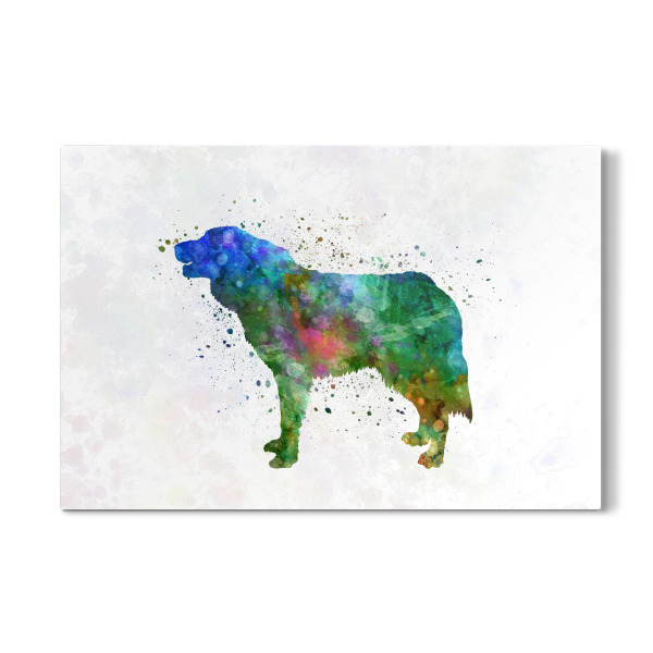 Galerie-Print "Bosnian and Herzegovinia Dog" 30x20 cm artboxONE