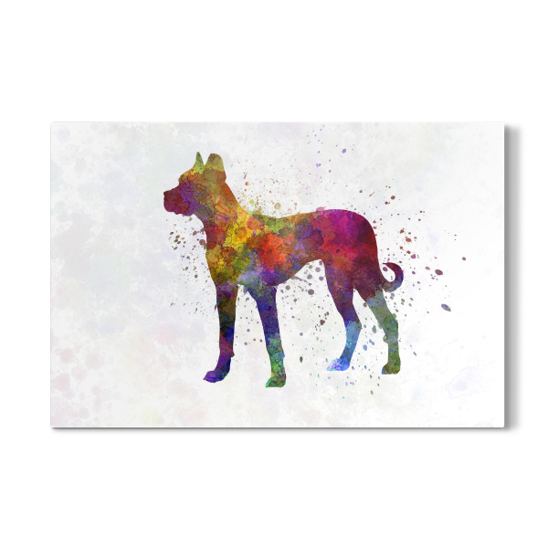 Galerie-Print "Spanish Alano dog in watercolor" 30x20 cm artboxONE
