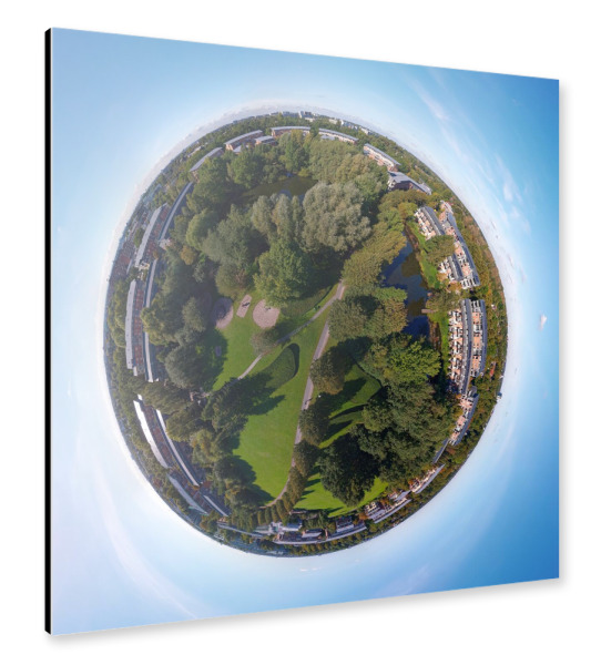 Alu-Dibond "Hamburg Max-Herz-Ring, Sommer,low" 30x30 cm artboxONE