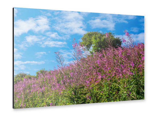 Alu-Dibond "Landschaft in den Dünen" 30x20 cm artboxONE