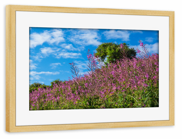 Poster mit Rahmen kiefer "Landschaft in den Dünen" artboxONE - Natur,Reise,Reise / Länder