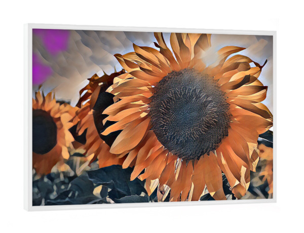 Poster mit weißem Rahmen "Sonnenblume im Gegenlicht" artboxONE - Natur,Abstrakt