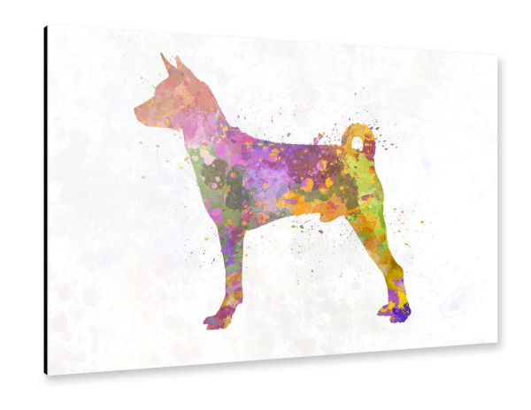 Alu-Dibond "Basenji dog in watercolor" 30x20 cm artboxONE