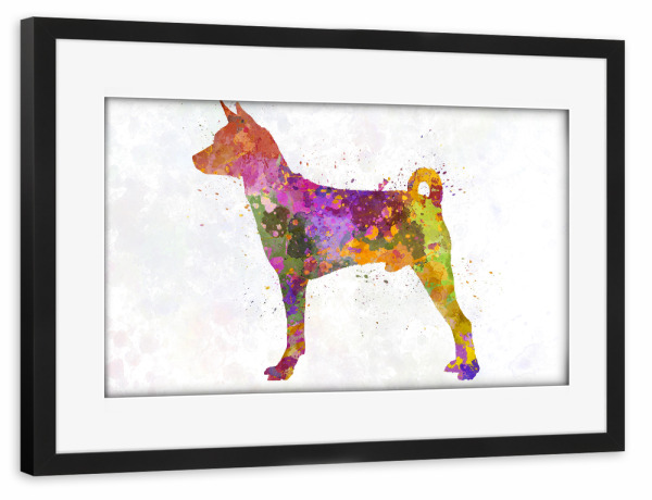 Poster mit Rahmen schwarz "Basenji dog in watercolor" artboxONE - Tiere - Dog,Pet,Childish,Watercolor,Decorative,Nursery decor,Animal,Animals,Dogs