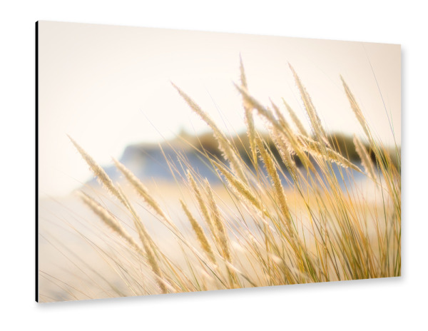 Alu-Dibond "Dünen Gräser Impression" 30x20 cm artboxONE