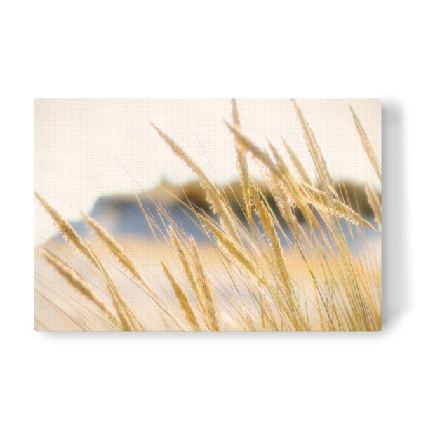Leinwandbild "Dünen Gräser Impression" artboxONE - Natur,Floral,Reise / Strand und Meer
