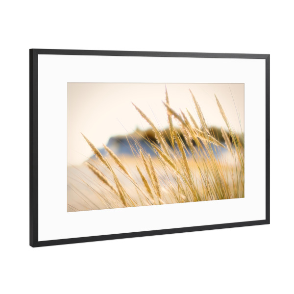 Poster mit Rahmen Schwarz (Metallic) "Dünen Gräser Impression" artboxONE - Natur,Floral,Reise / Strand und Meer