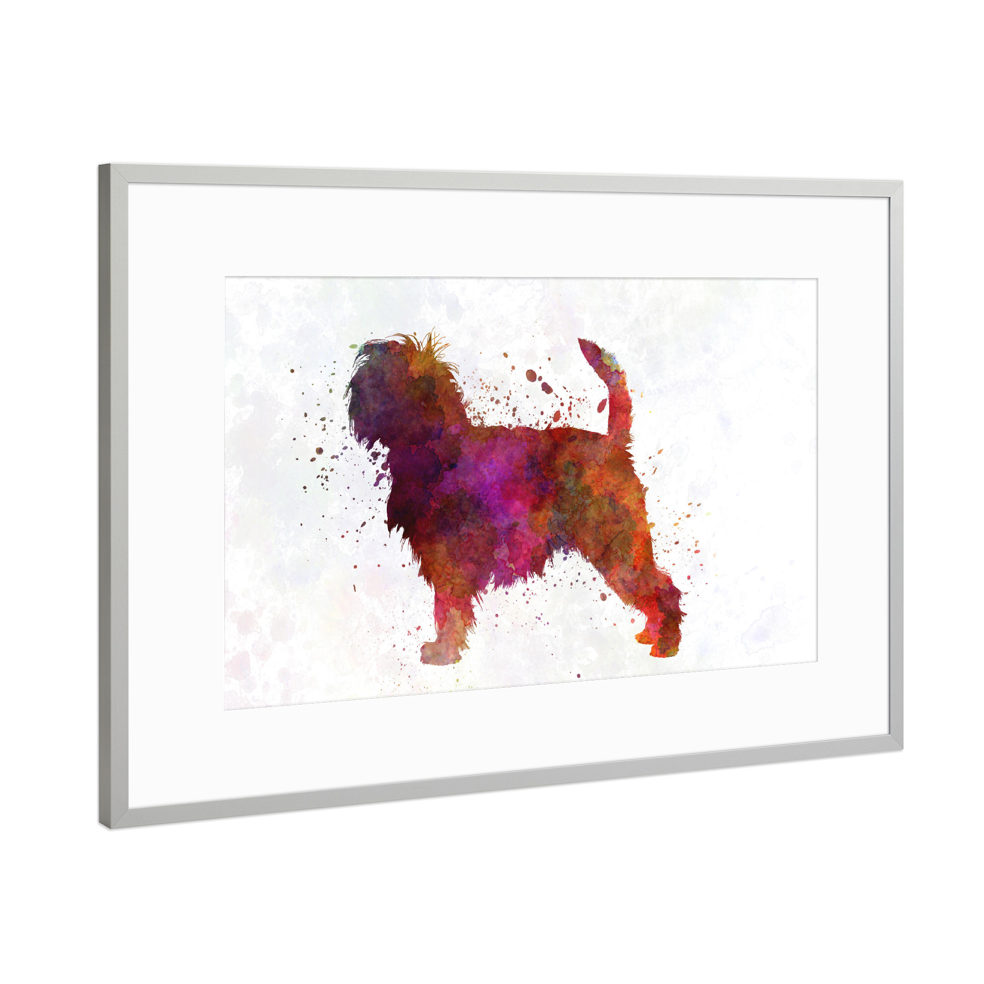 Poster mit Rahmen Silber "Affenpinscher in watercolor" artboxONE - Tiere