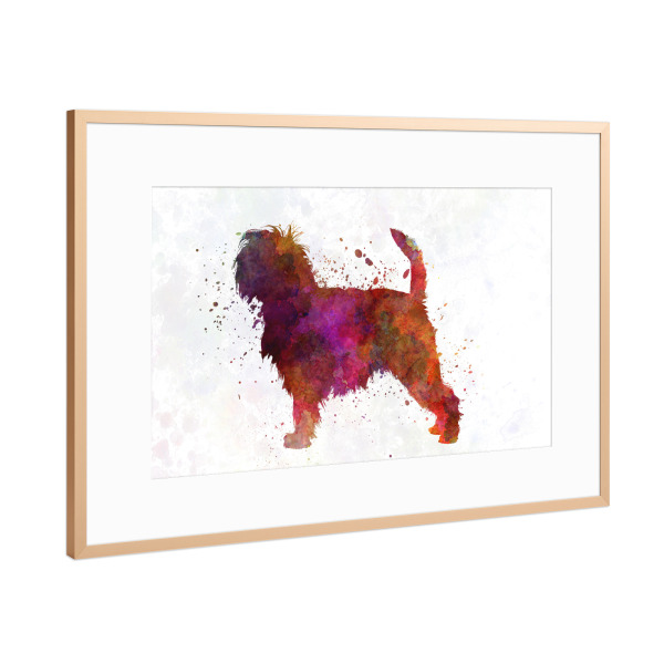 Poster mit Rahmen Kupfer "Affenpinscher in watercolor" artboxONE - Tiere