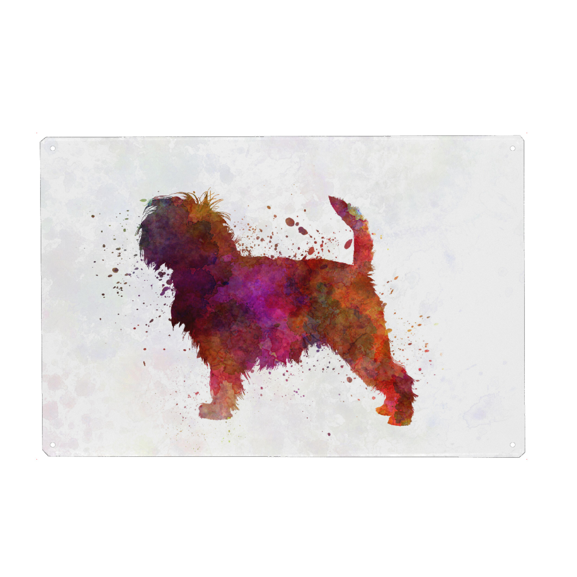 Metall Poster "Affenpinscher in watercolor" artboxONE - Tiere - Dog,Pet,Childish,Watercolor,Decorative,Children's decoration,Animal,Animals,Dogs