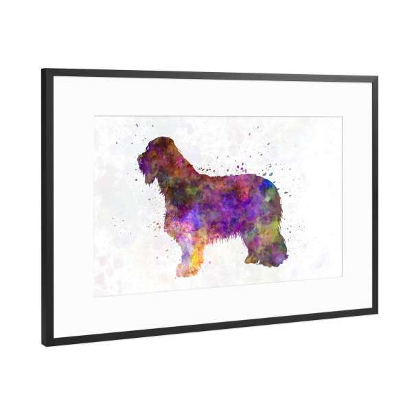 Poster mit Rahmen Schwarz (Metallic) "Bearded collie dog in watercolor" artboxONE - Tiere