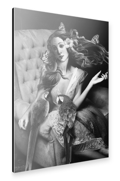 Alu-Dibond "Macaws by Tas BW" 30x20 cm artboxONE