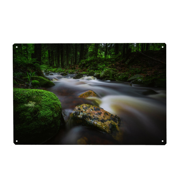 Metall Poster "Frühling im Harz" artboxONE - Natur,Reise,Floral