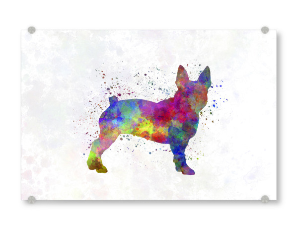 Acrylglasbild "Boston Terrier in watercolor" artboxONE - Tiere,Abstrakt