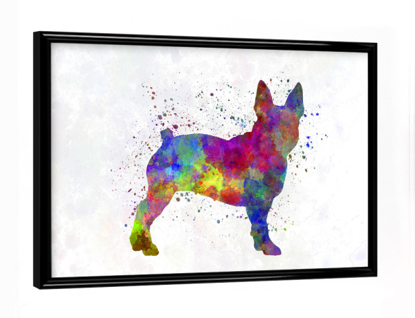 Poster mit schwarzem Rahmen "Boston Terrier in watercolor" artboxONE - Tiere,Abstrakt