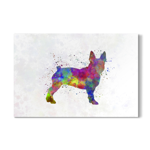 Galerie-Print "Boston Terrier in watercolor" 30x20 cm artboxONE