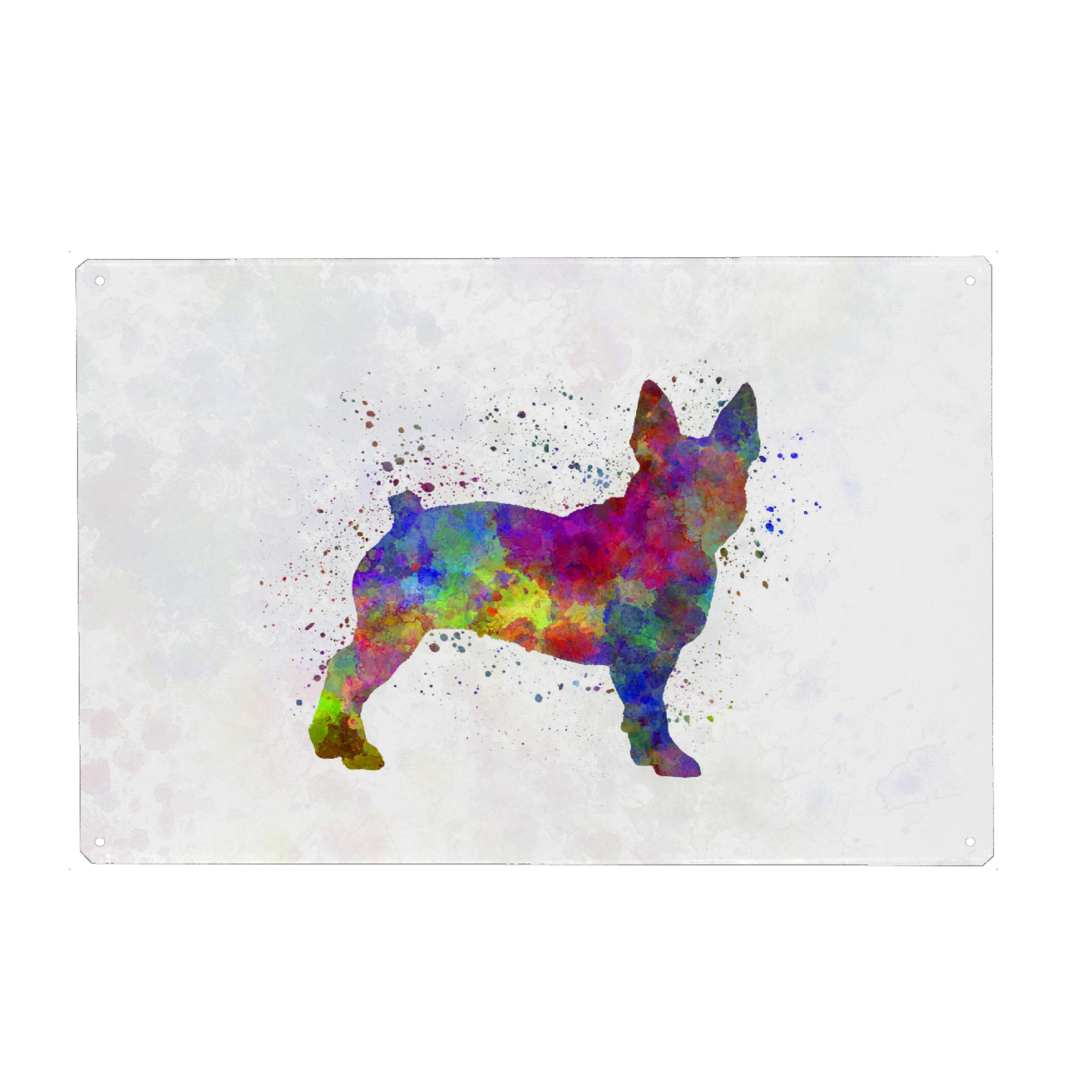 Metall Poster "Boston Terrier in watercolor" artboxONE - Tiere,Abstrakt