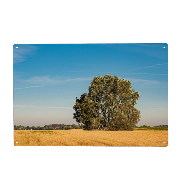 Metall Poster "Getreidefeld und Bäume" artboxONE - Natur,Reise