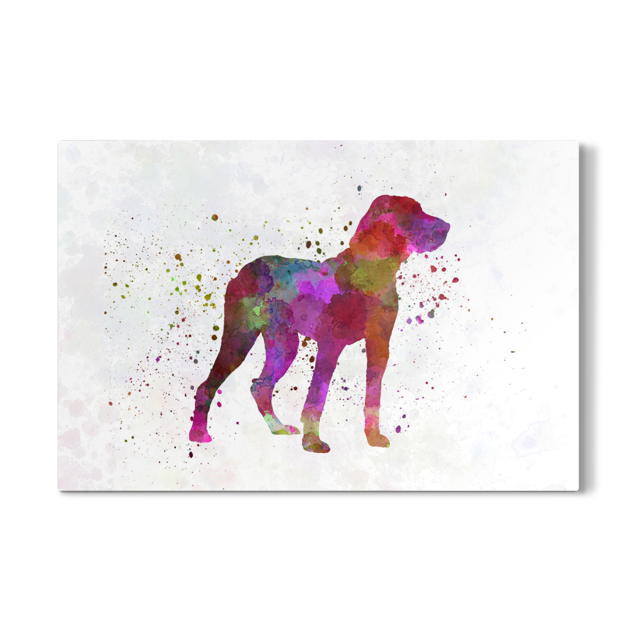 Galerie-Print "Pointer Ariège dog in watercolor" 75x50 cm artboxONE
