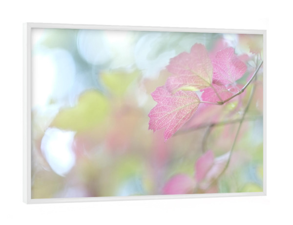 Poster mit weißem Rahmen "Pink Leaf" artboxONE - Natur,Floral