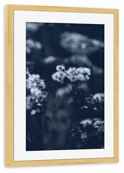 Poster mit Rahmen kiefer "Pflanze im Sommer" artboxONE - Natur,Floral