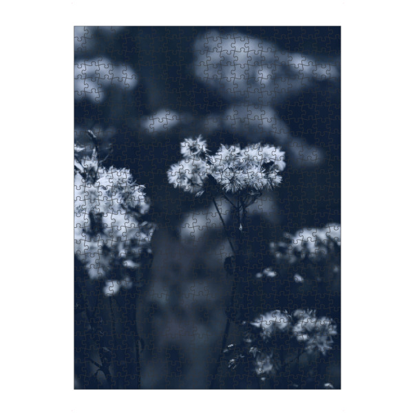 Puzzle Ravensburger "Pflanze im Sommer" artboxONE - Natur,Floral