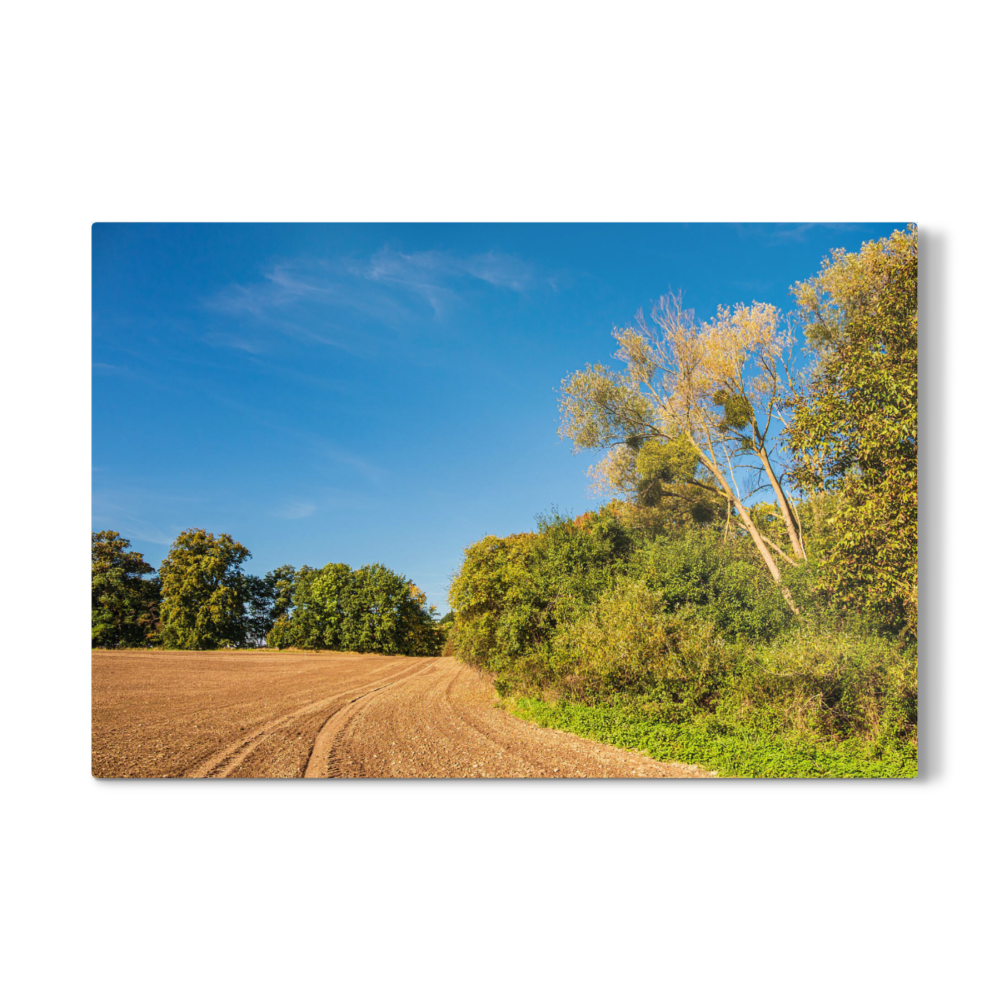 Galerie-Print "Acker und Bäume" 30x20 cm artboxONE