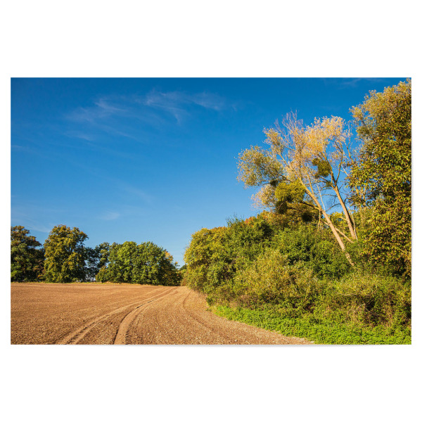 Poster "Acker und Bäume" artboxONE - Natur,Reise