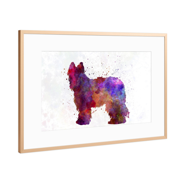 Poster mit Rahmen Kupfer "Briard in watercolor" artboxONE - Tiere,Abstrakt