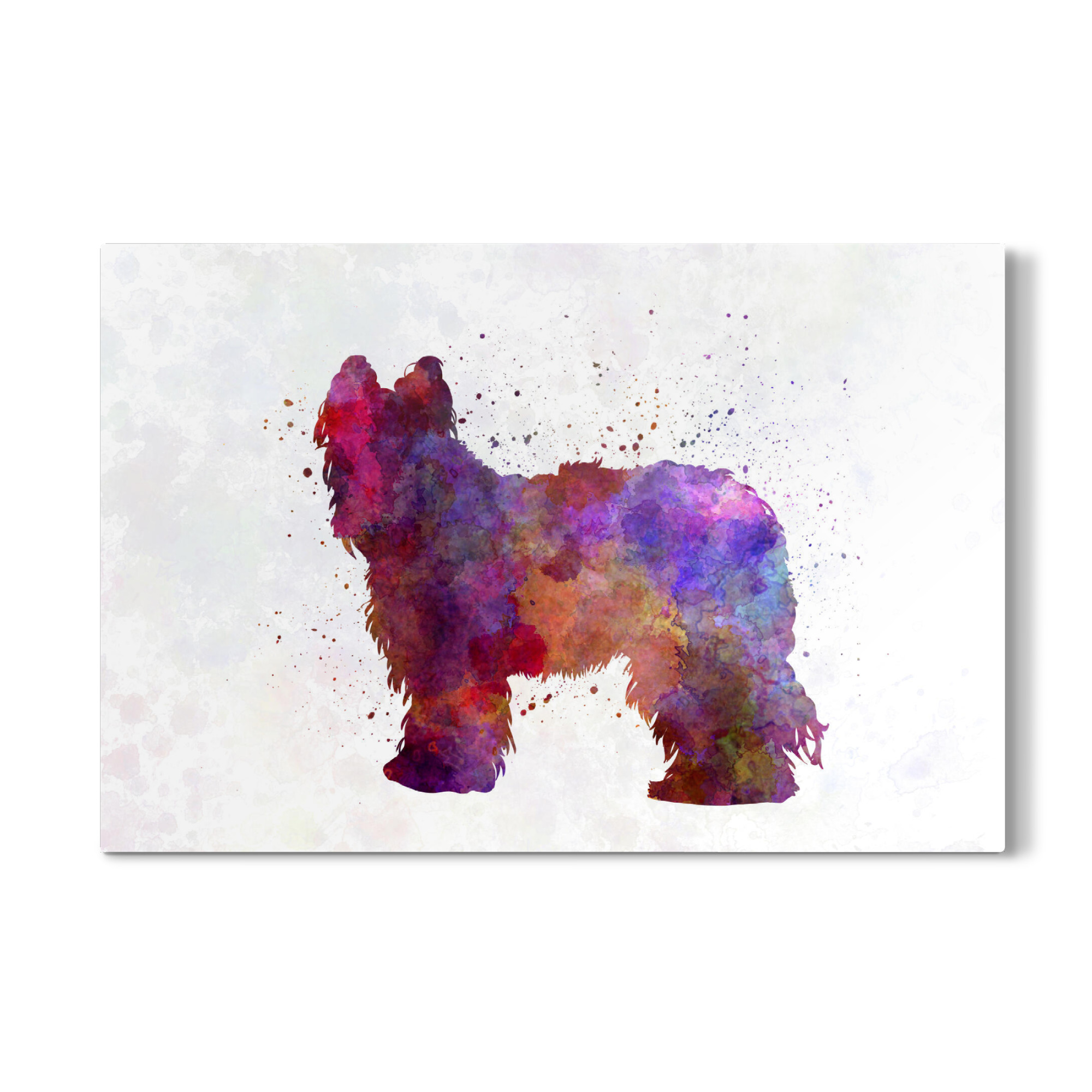 Galerie-Print "Briard in watercolor" 75x50 cm artboxONE