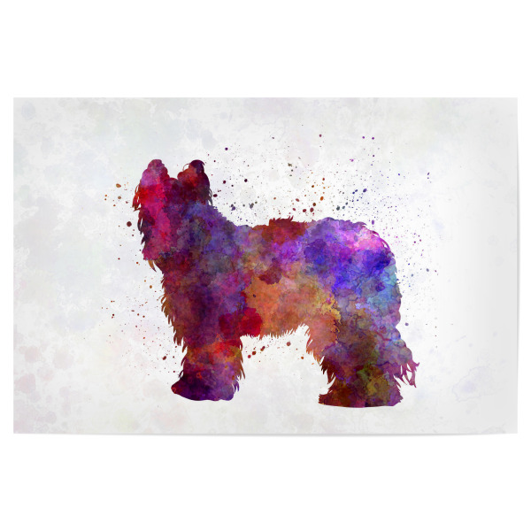 Poster 30x20 cm "Briard in watercolor" artboxONE - Tiere,Abstrakt